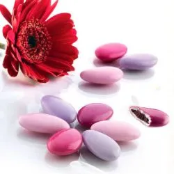 Dragées chocolat 70% thème Rosé - 1kg
