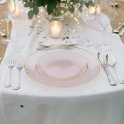 Assiettes Réutilisables Rose Pâle Liseré Or - Lot de 12