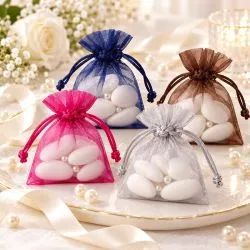 Bourse Organza lot de X10