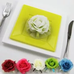 Rosace à poser 5 raquettes à dragées
