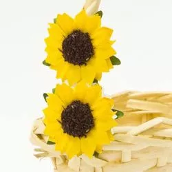 Mini tournesol (x12)