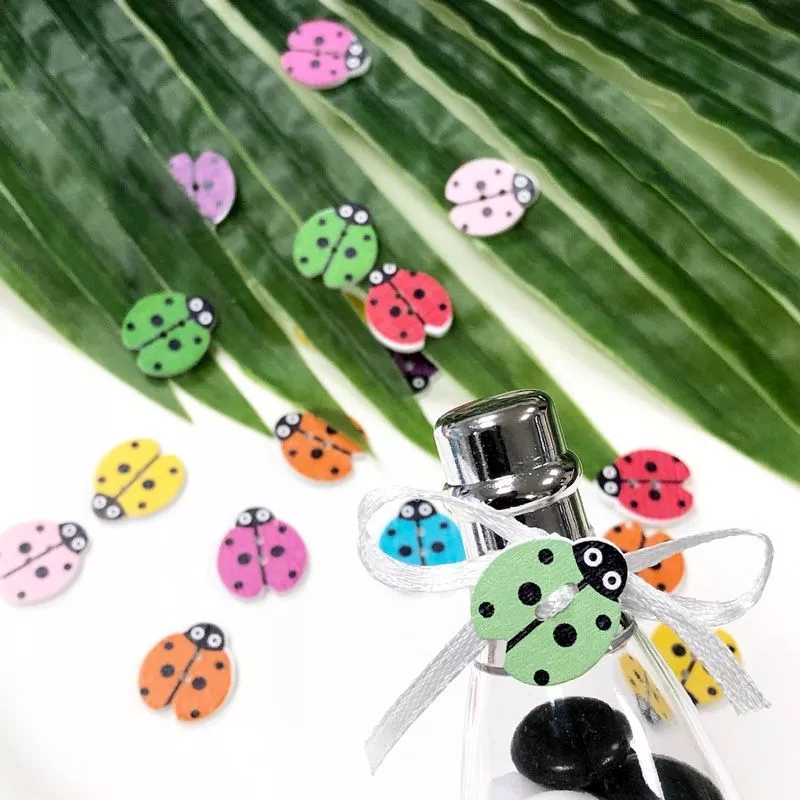 24 Coccinelles en bois décoratives