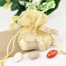 Bourse Rayure à fil de Soie (10pcs) Dorée