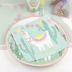Creative Converting Perfect Poinsettia Ensemble de vaisselle jetable pour  fête | Assiettes à dîner et à dessert, serviettes de table et nappe 